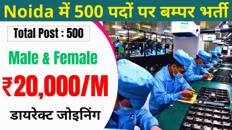 The One Lighting Job Vacancy in Noida