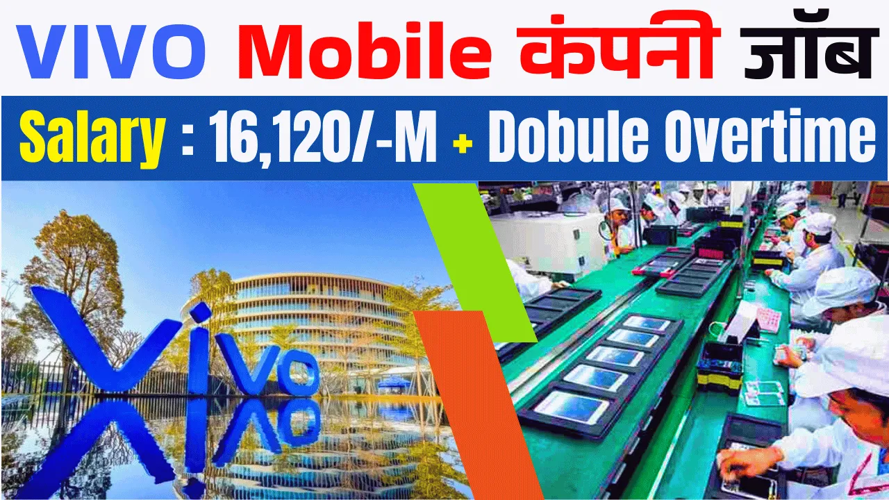 Vivo Mobile Company Job Vacancy 2025